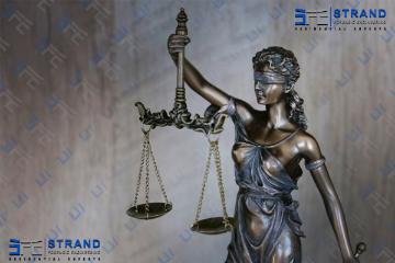 Expert Witness Services